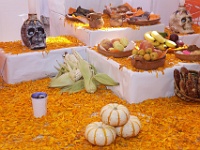 IMG (2)